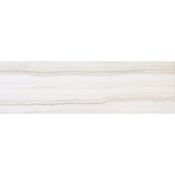 Emser Chronicle 3" x 24" Bullnose Memoir