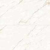 Bedrosians Magnifica 24" x 48" Polished Calacatta Oro