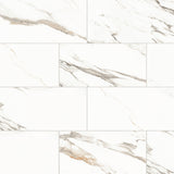 Bedrosians Prati 12" x 24" Honed Calacatta Borghini Warm