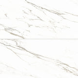 Bedrosians Prati 24" x 48" Polished Calacatta Borghini Warm
