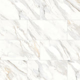 Bedrosians Shandar 12" X 24" Polished Arezzo Bianco