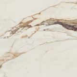 Bedrosians Magnifica Era Luxury 24" x 48" Satin Calacatta Borghini