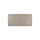 Daltile Artiquity 12'' X 24'' Matte Renoir Grey