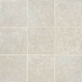 Daltile Florentine 12" X 24" Floor Tile Argento