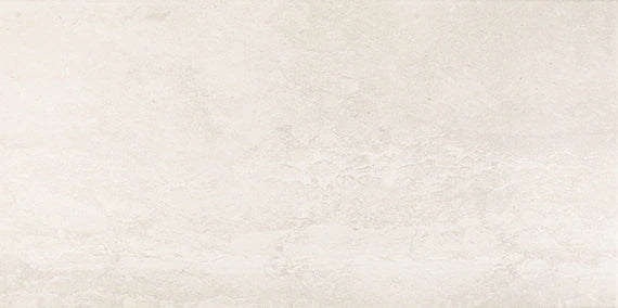 Daltile Epitomize 12" X 24" Aria White