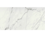 Emser Vara 12"x24" Polished Varzo