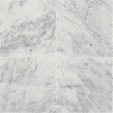 Daltile Marble 12" x 24" Honed Carrara White