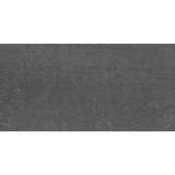 Daltile Fixture 24" X 48" Matte Coal