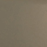 Daltile Colormatch 4" X 4" Matte Matte Artichoke