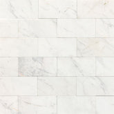 Daltile Marble 3" x 6" Polished Contempo White