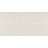 Daltile Synchronic 18" X 36" Matte White