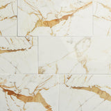 Daltile Panoramic Duet 24" x 48" Polished Diamond Mine