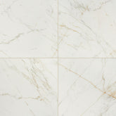 Daltile Panoramic Duet 24" x 24" Polished Diamond Mine