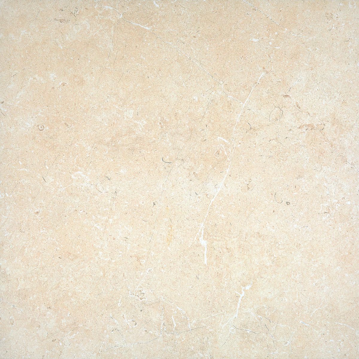 Daltile Courier 24" x 24" Xterior Paver Stepwise Textured Lookout