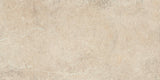 Daltile Courier 24" x 48" Xterior Paver Textured Rockwell