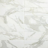Daltile Platinum 12" x 24" Matte Magnolia