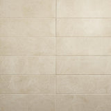 Daltile Platinum 12" x 24" Matte Almond
