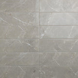 Daltile Platinum 12" x 24" Matte Dove