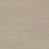 Daltile Exposition 12" x 24" Matte Gesso