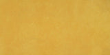Daltile Portfolio Vivid 12" x 24" Matte Generation Z Yellow