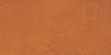 Daltile Portfolio Vivid 12" x 24" Matte Orange Burst