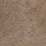 Daltile Dignitary 12" X 24" Light Polished Herald Brown