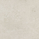 Daltile Dignitary 24" X 24" Matte Luminary White