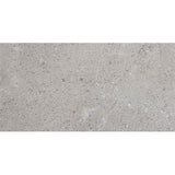 Daltile Dignitary 24" X 48" Matte Eminence Grey