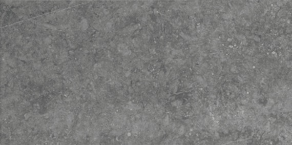 Daltile Diplomacy 20" X 40" Xterior Paver Light Grey
