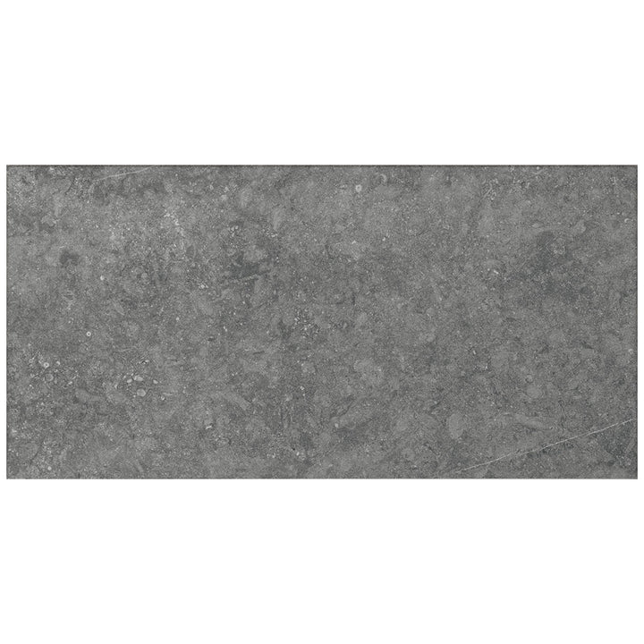 Daltile Diplomacy 24" X 48" Light Grey