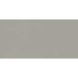 Daltile Flat 12" X 24" Concrete