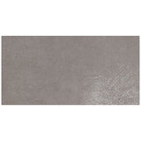Daltile Haut Monde 24" X 48" Matte Glitterati Granite