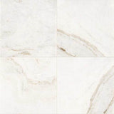 Daltile Marble 12" x 24" Honed Daphne White