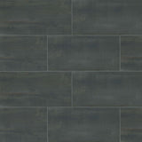 Bedrosians Rebel 12" x 24" Matte Night