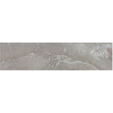 Daltile Famed 6" X 24" Matte Fortune