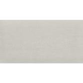 Daltile Fixture 24" X 48" Polished Glacier