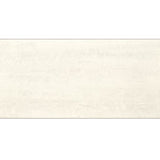 Daltile Fixture 24" X 48" Polished Ice