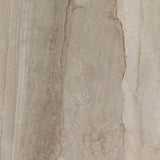 Daltile Famed 24" X 24" Polished Luxe