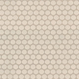 MS International Domino 12" x 12" Penny Round GLossy Almond