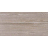 MS International Eramosa 12" x 24" Matte Silver