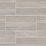 MS International Charishma 12" x 24" Matte Silver