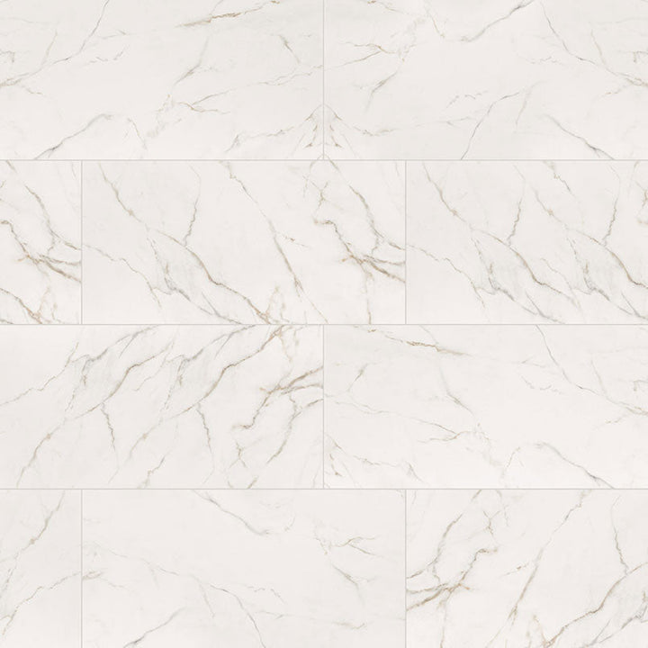 MS International Kaya 12" x 24" Polished Calacatta Lucca