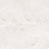 MS International Kaya 12" x 24" Polished Calacatta Lucca