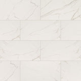 MS International Kaya 24" x 48" Matte Calacatta Venato