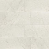 MS International Kaya 24" x 48" Polished Carrara Bianco