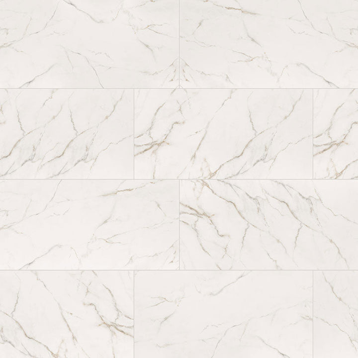 MS International Kaya 24" x 48" Matte Calacatta Lucca