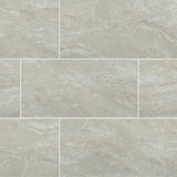 MS International Onyx 12" x 24" Matte Ivory