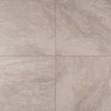 MS International Onyx 24" x 24" Matte Grigio