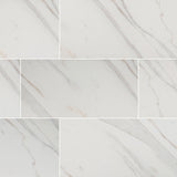 MS International Pietra 12" x 24" Polished Calacatta