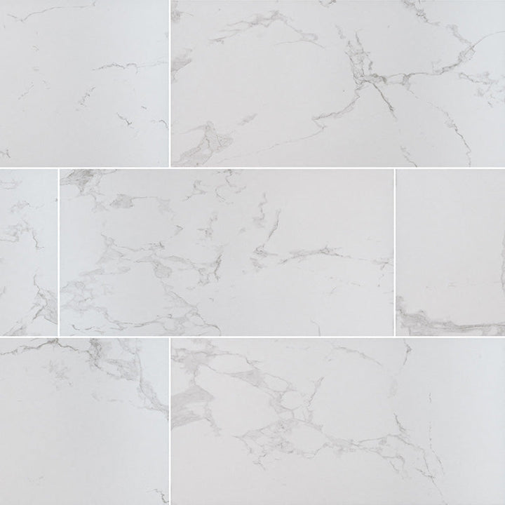 MS International Praia 12" x 24" Matte 9.6mm Carrara